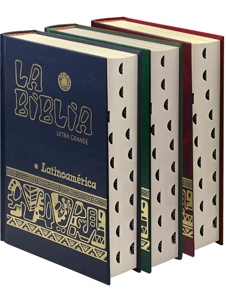 Spanish Bible: Large Print Hardcover Colors With fingernails