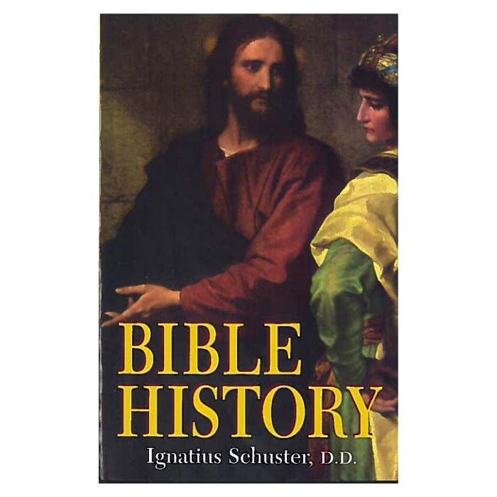 Bible History: Of the Old and New Testaments