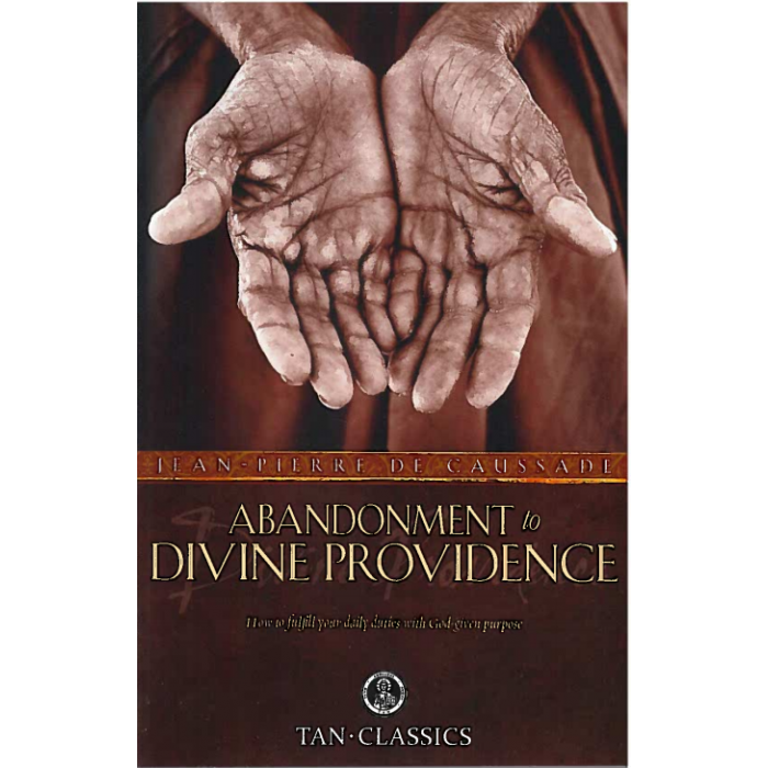 Abandonment to Divine Providence: How to fulfill your daily duties with God-given purpose